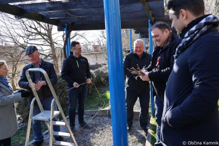 Rez kamniške potomke najstarejše vinske trte (15)
